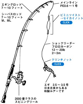 Daiwa 3 アオリイカを餌木 エギ をシャクって誘うエギングで釣る Web Site