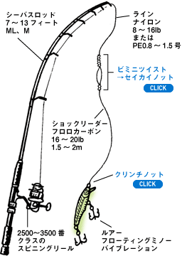 Daiwa 5 シーバス スズキ をルアーのキャスティングで釣る Web Site