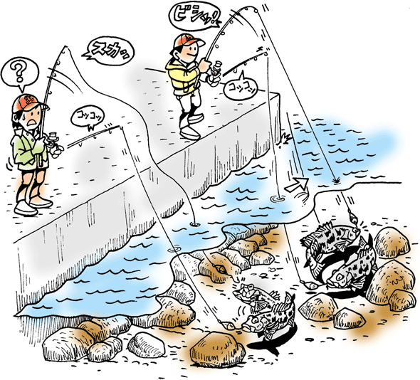 Daiwa 8 ロックフィッシュカサゴ アイナメソイ メバル などを確実に底がとれる胴突き仕掛けで釣る Web Site