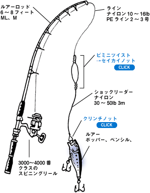Daiwa 25 シイラ カツオ メジマグロを水面直下を探るトップ系ルアーで釣る Web Site