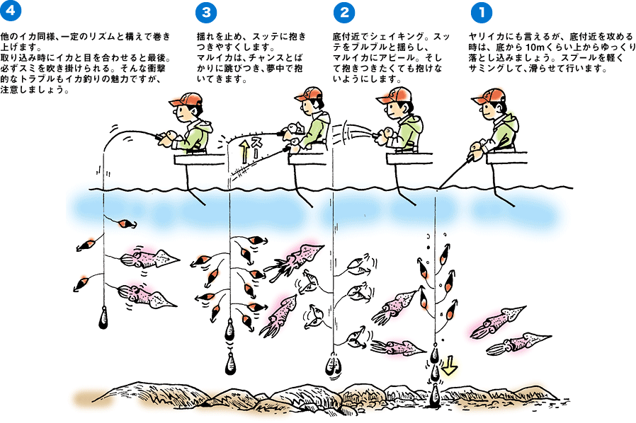 Daiwa 27 各種イカ スルメイカ ヤリイカ マルイカ をプラヅノ スッテを使った胴突き仕掛けで釣る Web Site