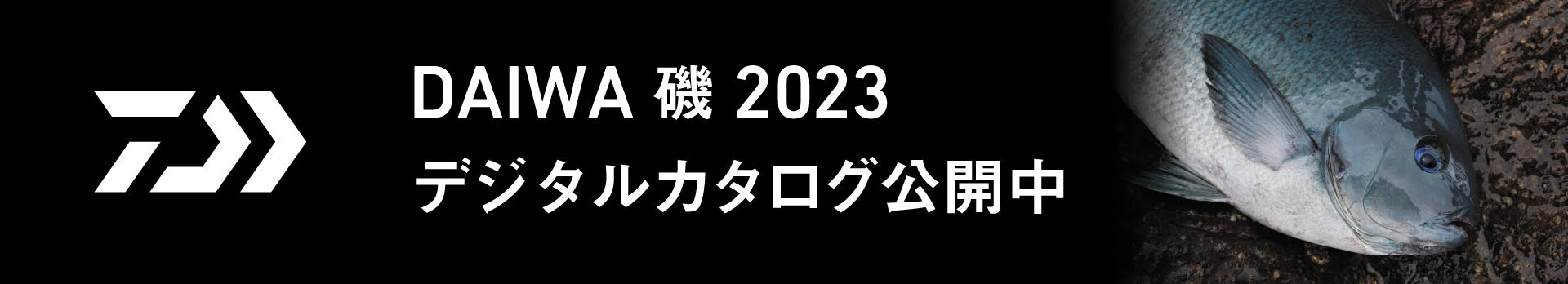 DAIWA 磯 2023年度 デジタルカタログはこちらで公開中