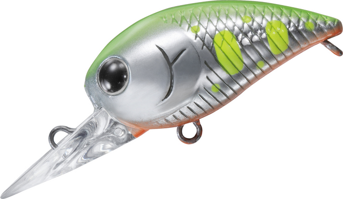 WABCRA30DR_C&R_CUSTOM_CHART_YAMAME_ORANGE_BELLY_4550133564765_c.jpg