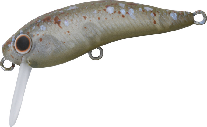 PRESSO_WABCRA_SLIM_39F_SR_SPLASH_OLIVE_PEARL_4550133556050_c.jpg
