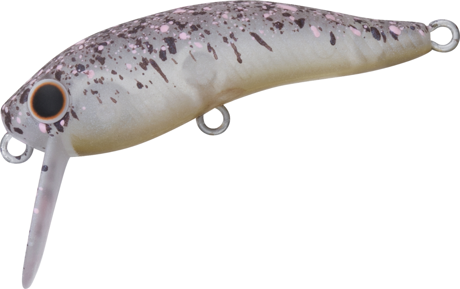 DAIWA TROUT
