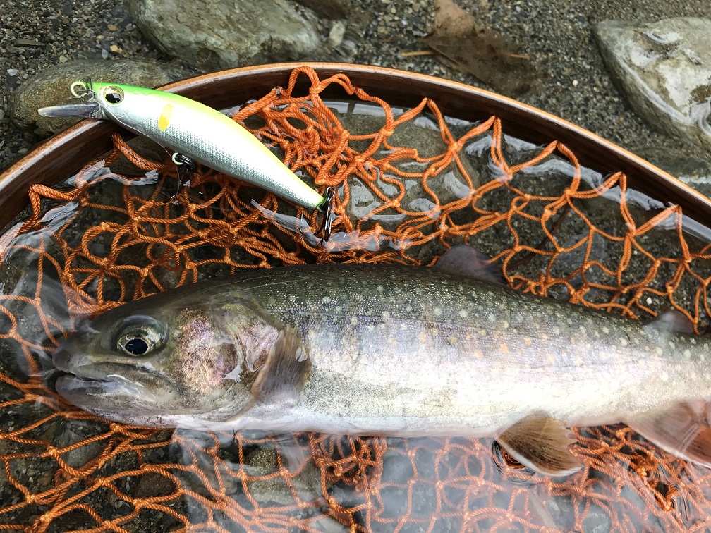 DAIWA TROUT: 2018年3月アーカイブ