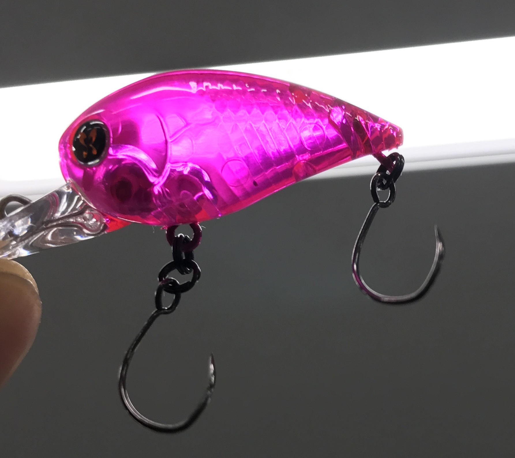 NEW PRESSO LURE 「WABCRA DR」をご紹介！ - DAIWA TROUT