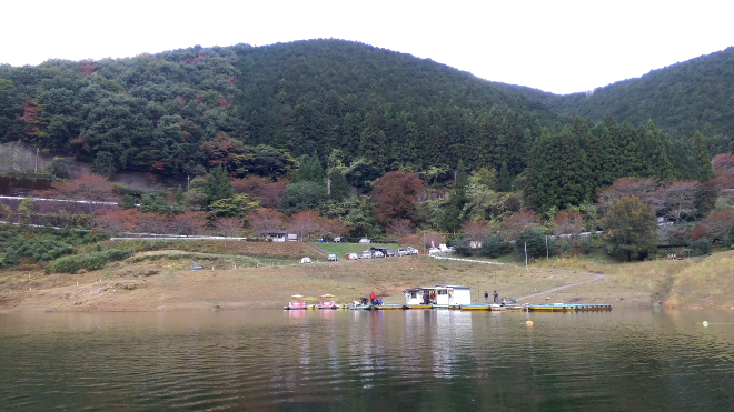 梅田湖ﾜｶｻｷﾞwsz1.JPG