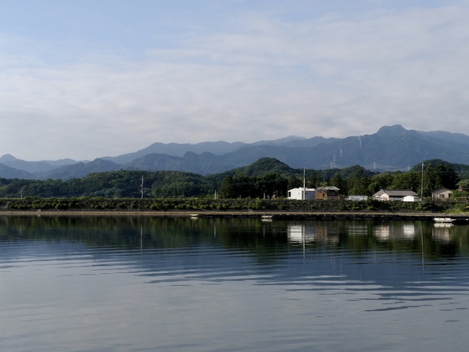 170617丹生湖ﾜｶｻｷﾞwsz12.JPG