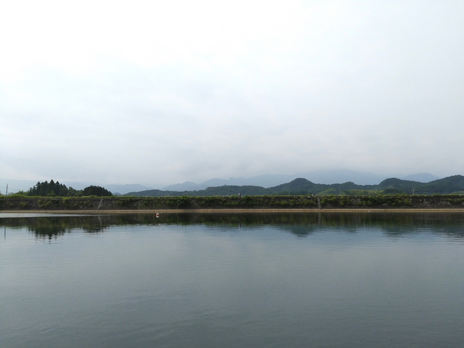 170624丹生湖ﾜｶｻｷﾞwsz1.JPG