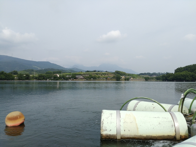 170624丹生湖ﾜｶｻｷﾞwsz3.JPG