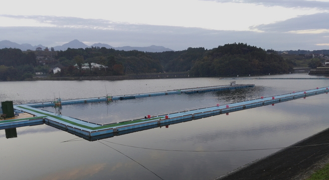 1711004鳴沢湖ﾜｶｻｷﾞwsz1.JPG