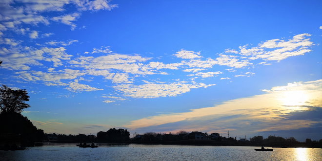 201107鳴沢湖ﾜｶｻｷﾞwsz6.JPG