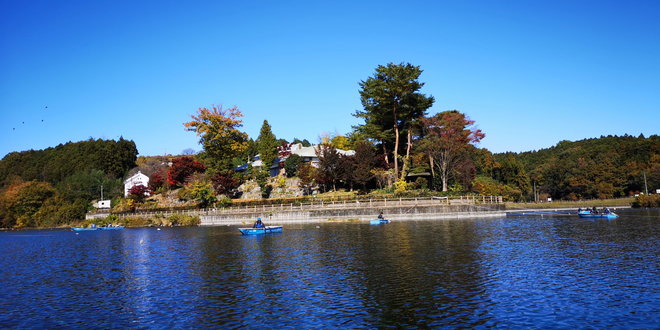 201114鳴沢湖ﾜｶｻｷﾞwsz2.JPG