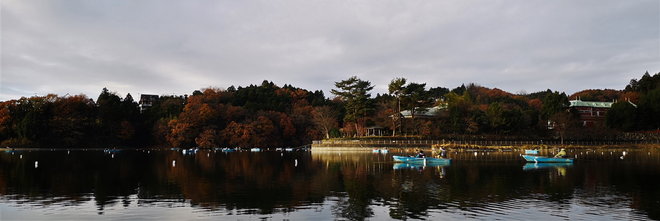 201205鳴沢湖ﾜｶｻｷﾞwsz5.JPG