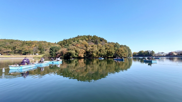 221119鳴沢湖ﾜｶｻｷﾞwsz24.JPG