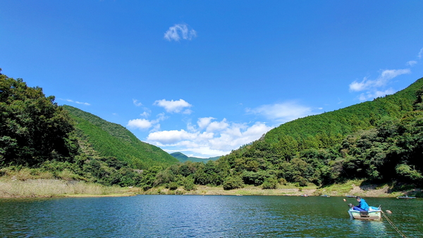 231007梅田湖ﾜｶｻｷﾞwsz6.JPG